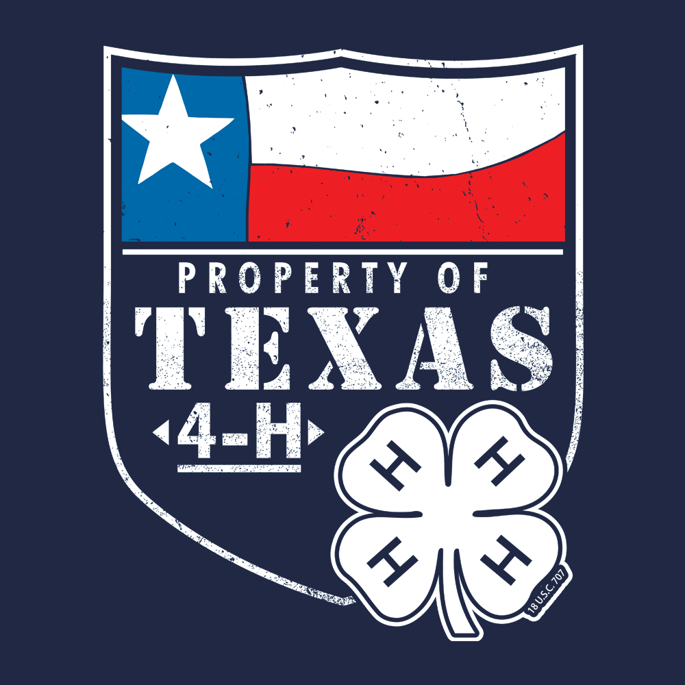4h185B