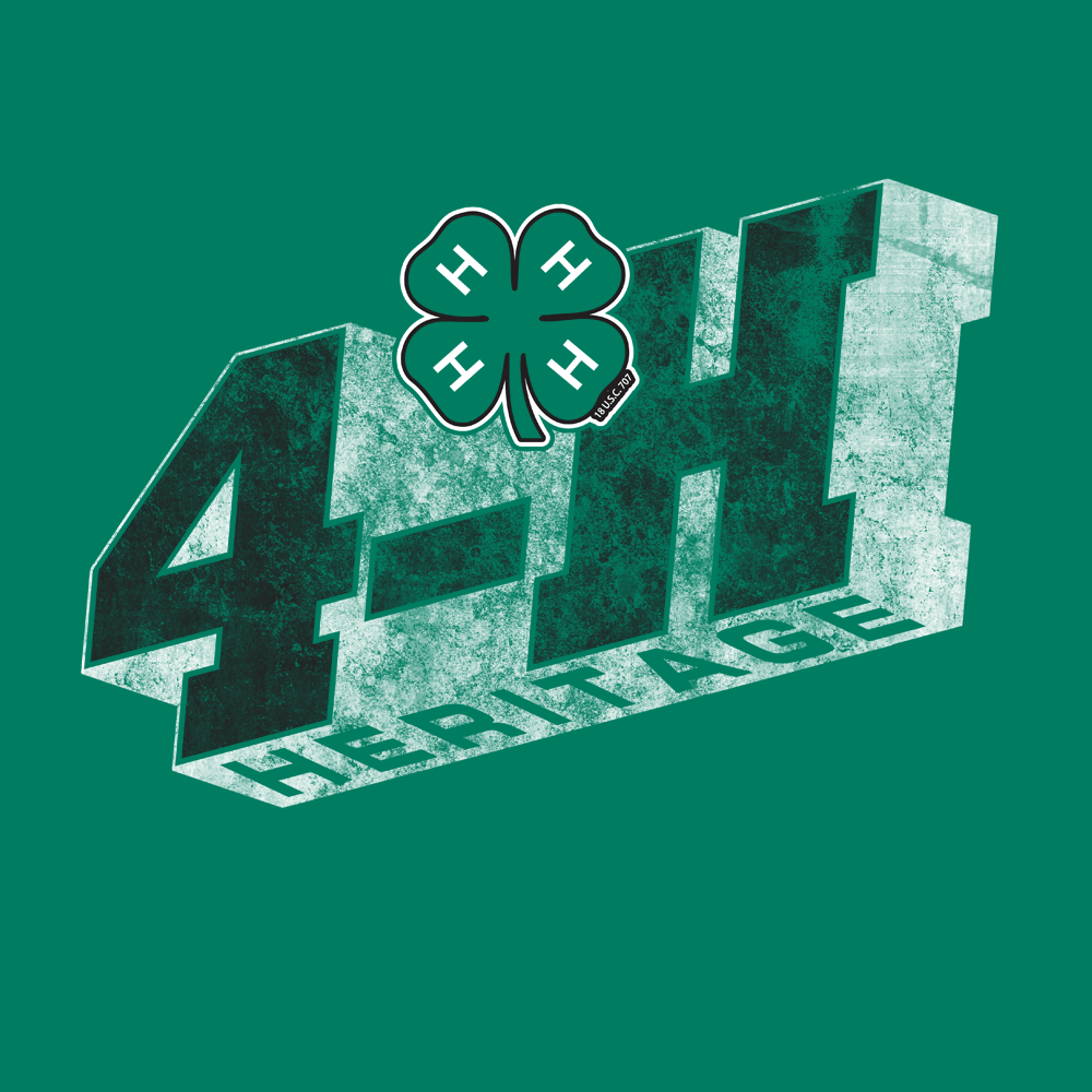 4H216