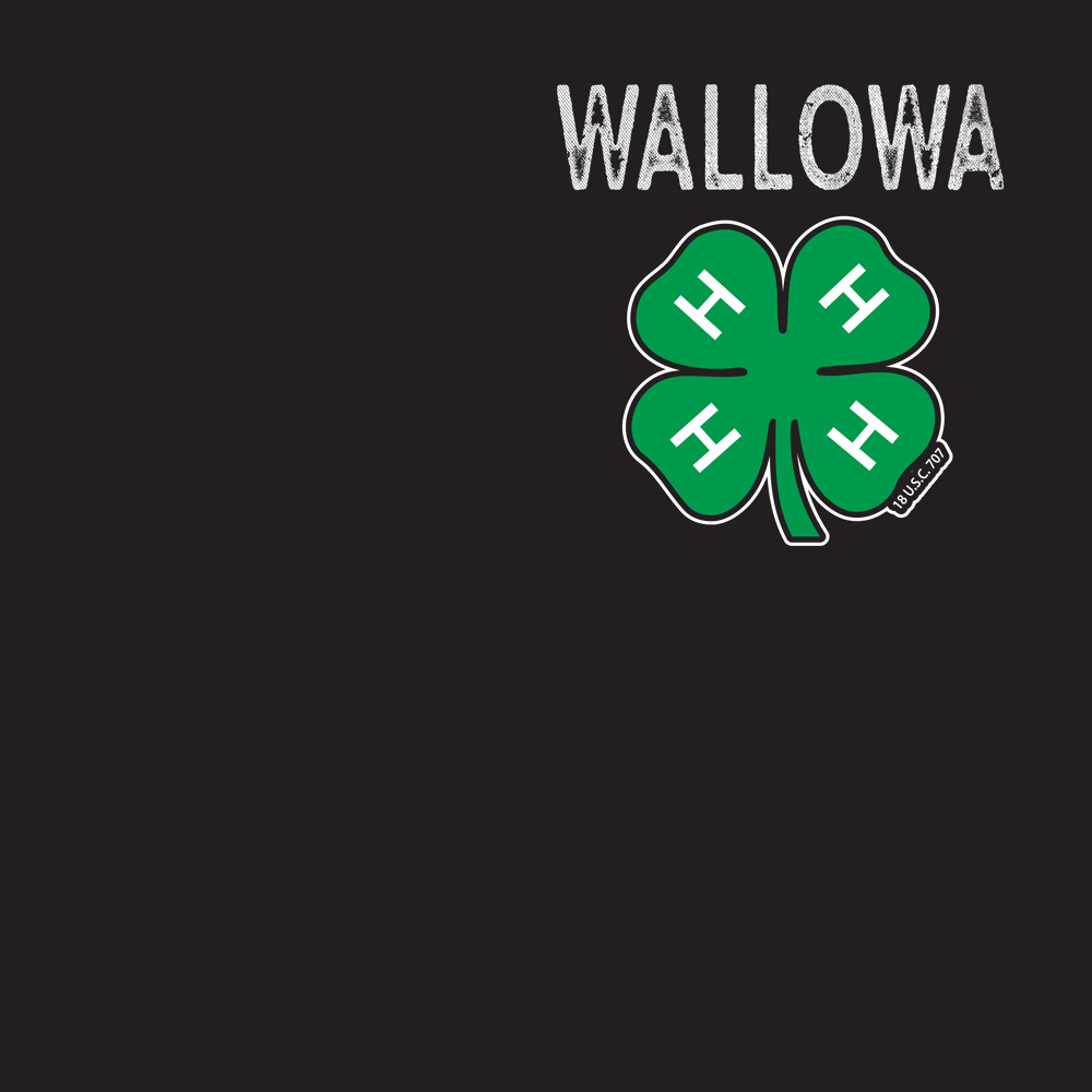 4H310A
