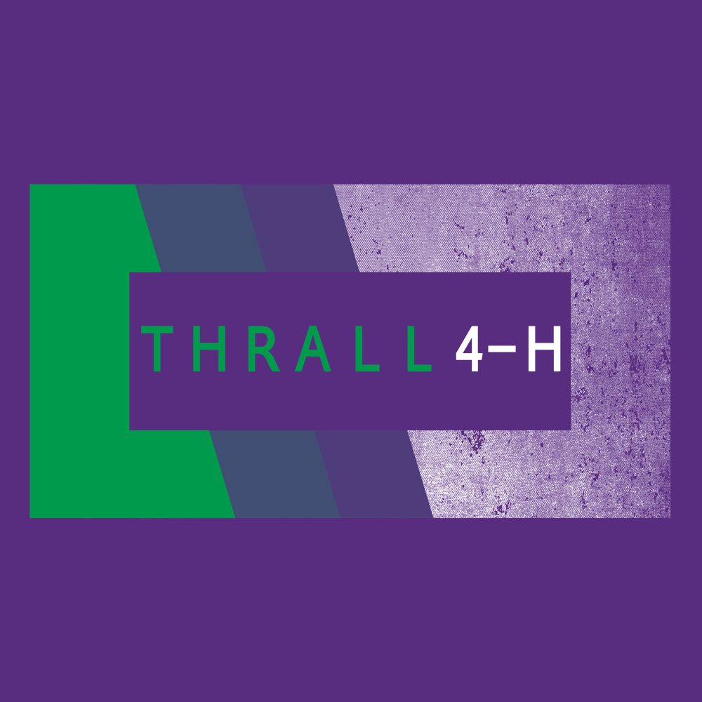 4H313