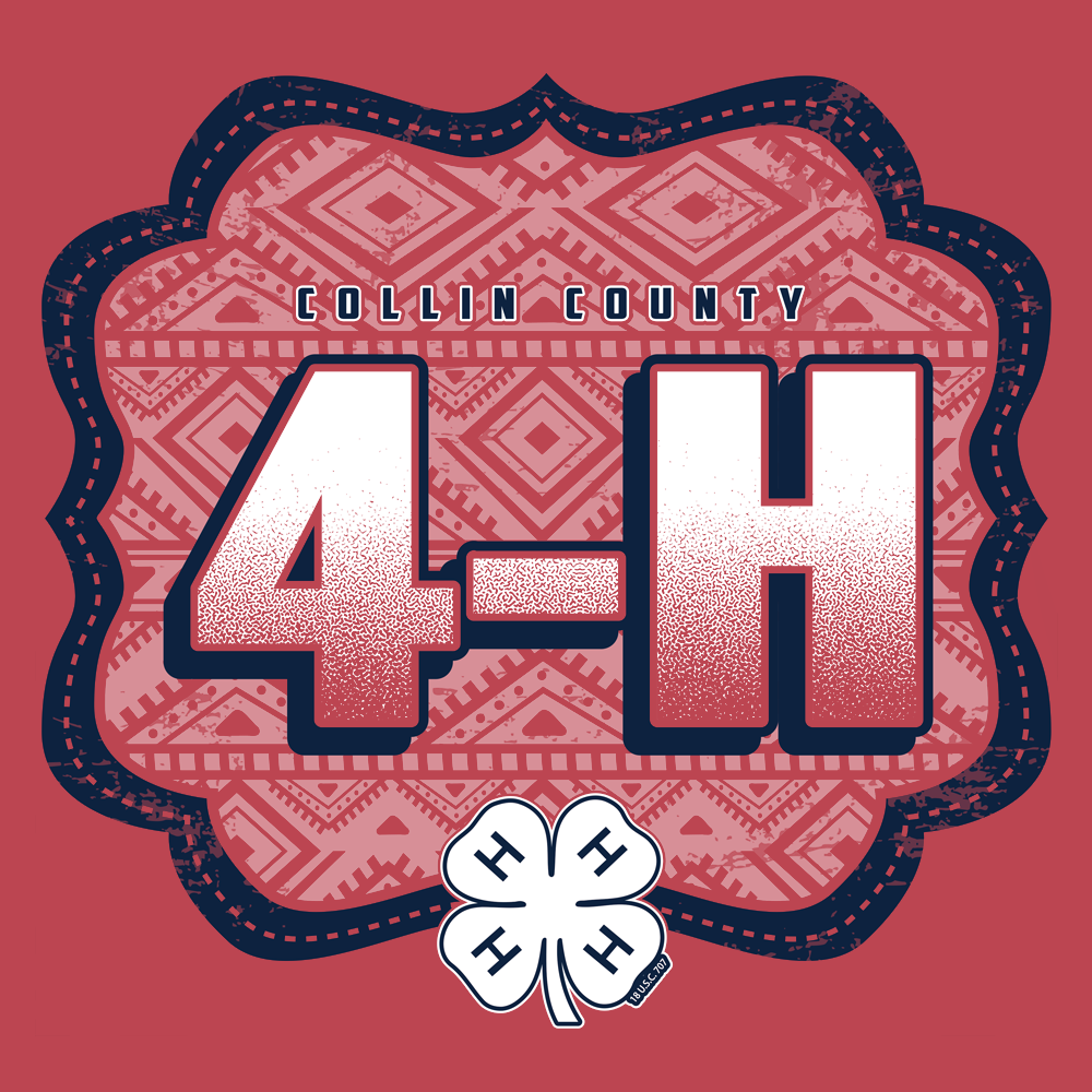 4H316