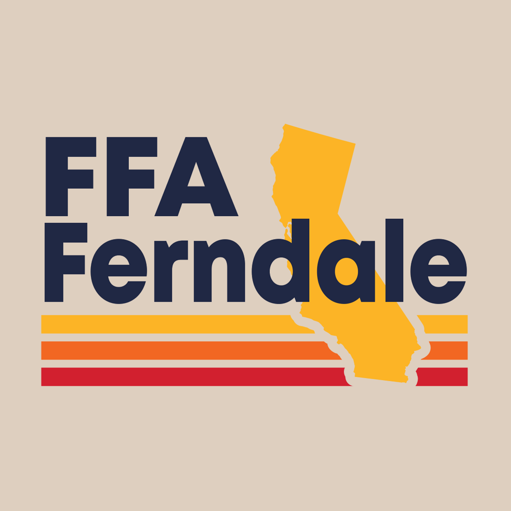 FFA-EMB166