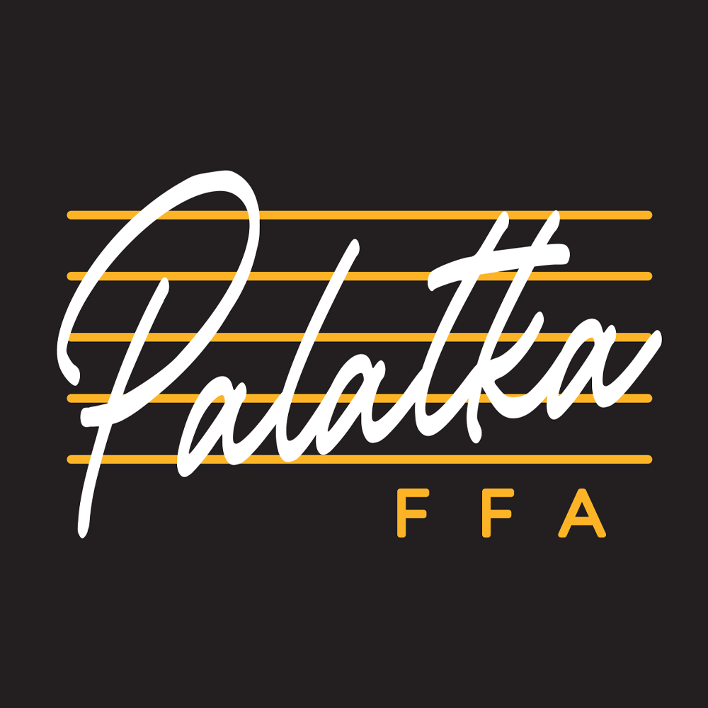 FFA-EMB170