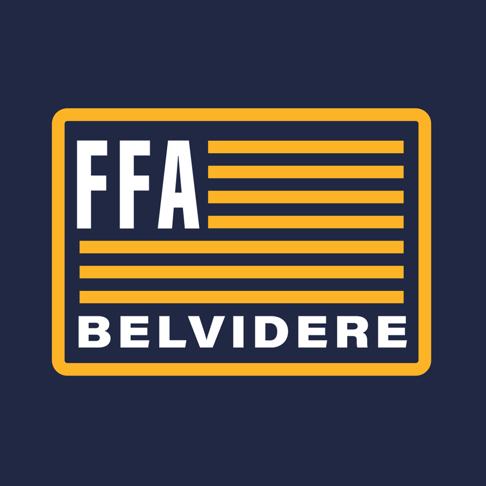 FFA-EMB175