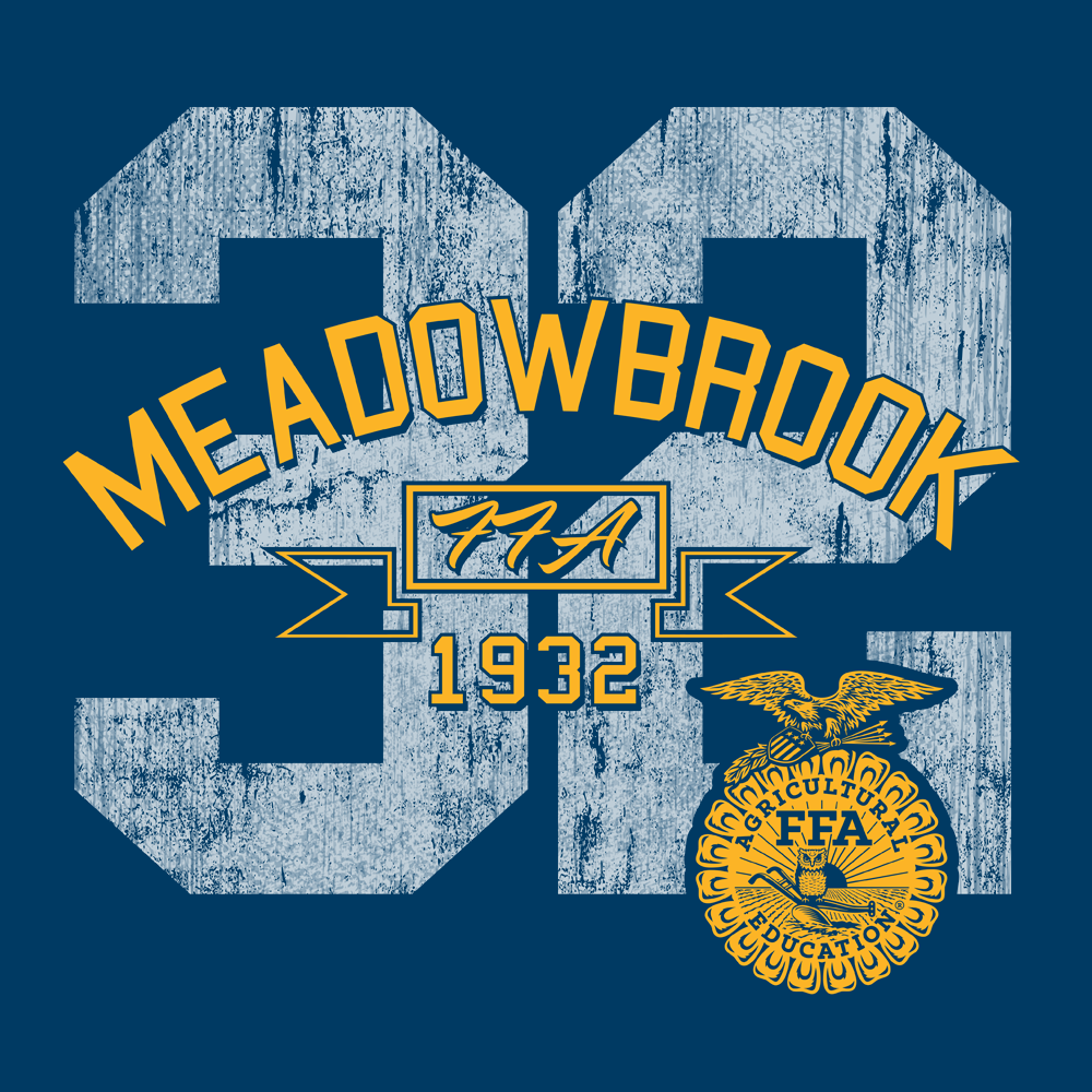 FFA205