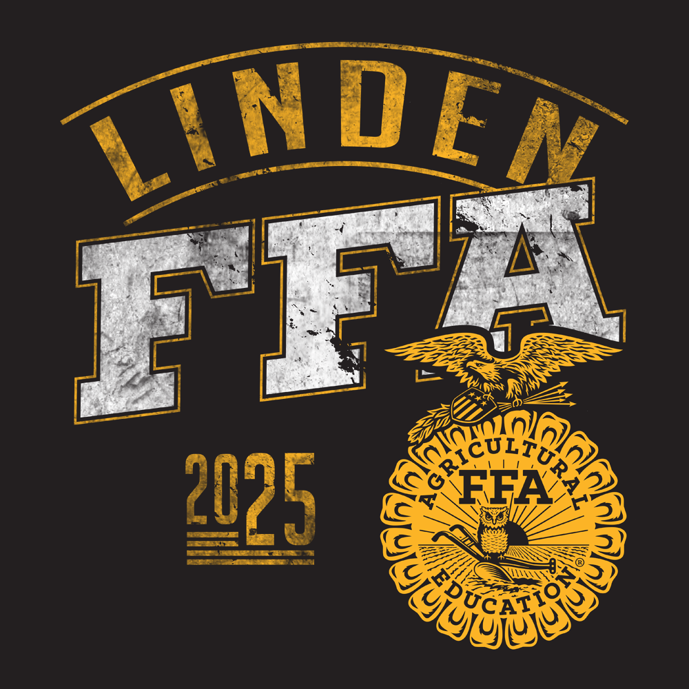 FFA213