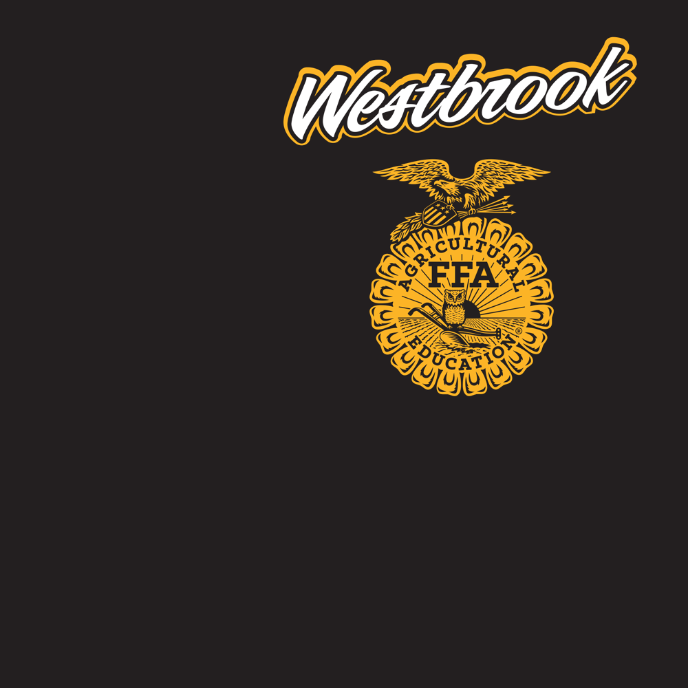 FFA255a
