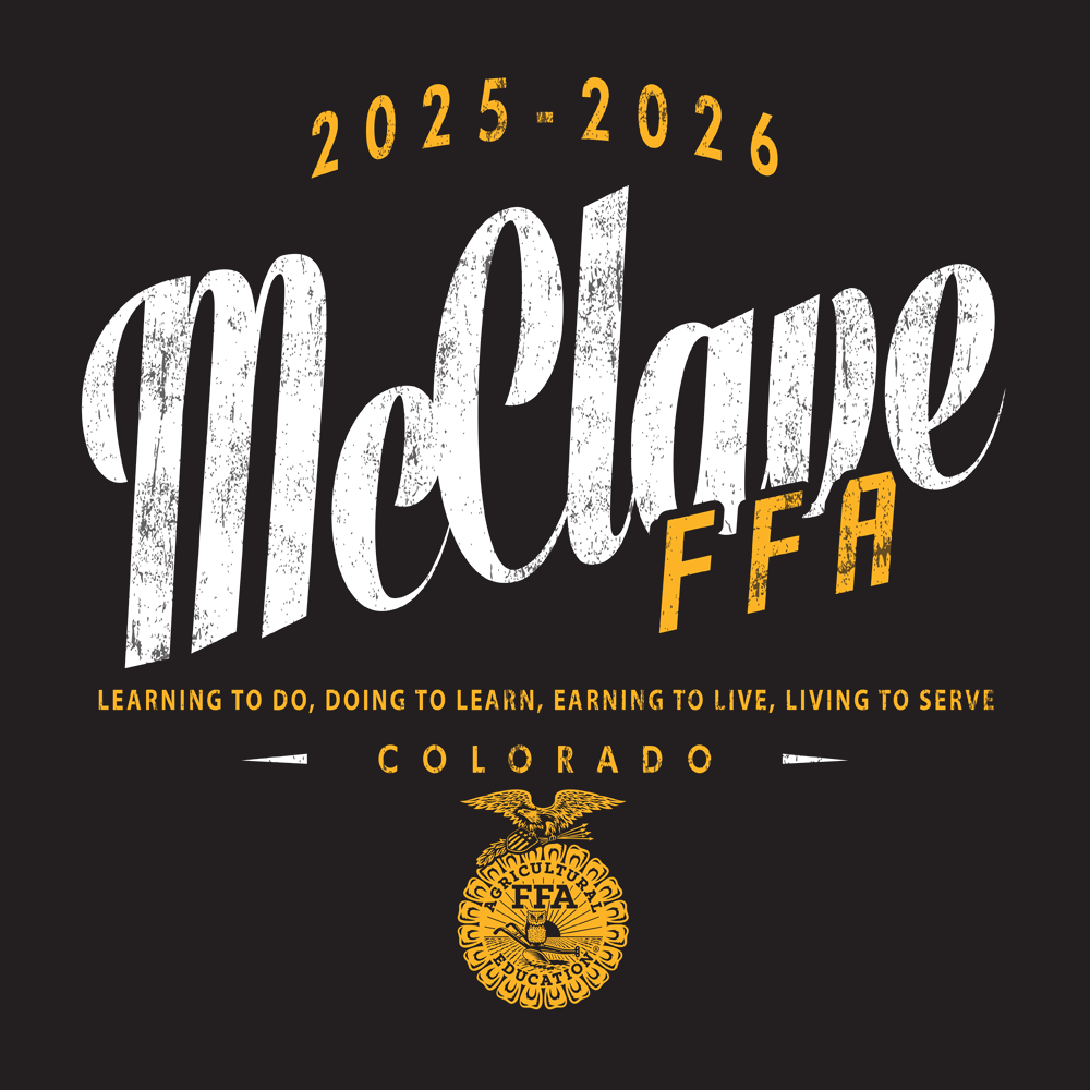 FFA261