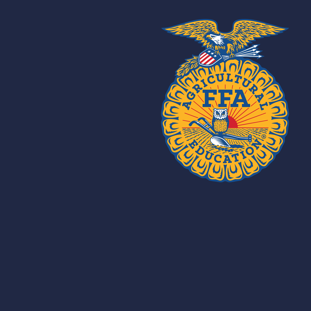 FFA271a