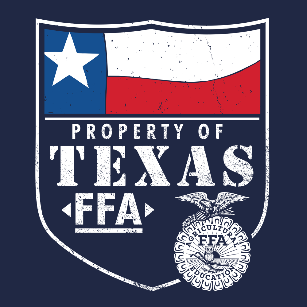 FFA284b