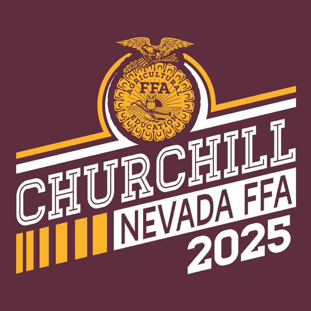 FFA303