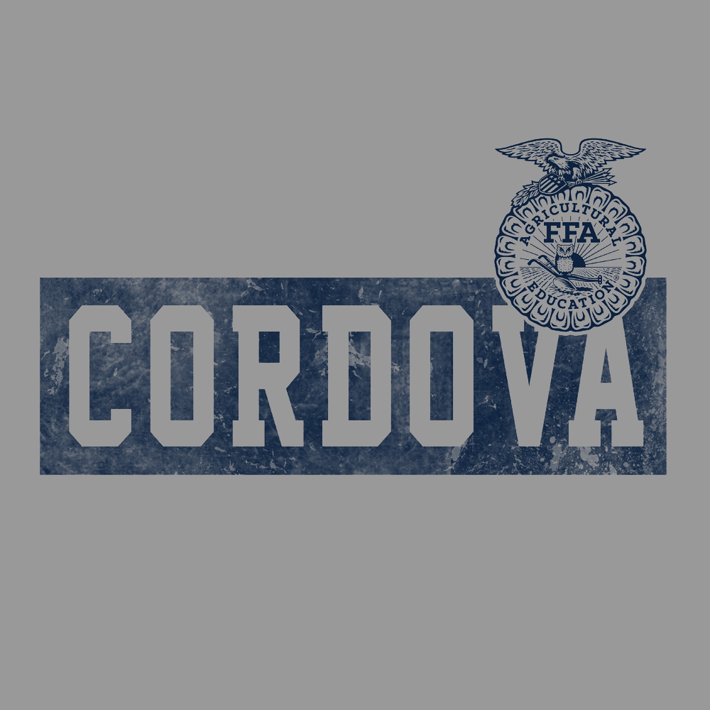FFA304