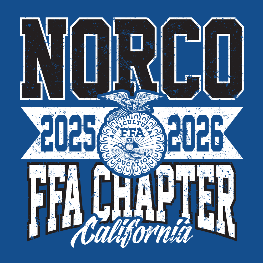 FFA312