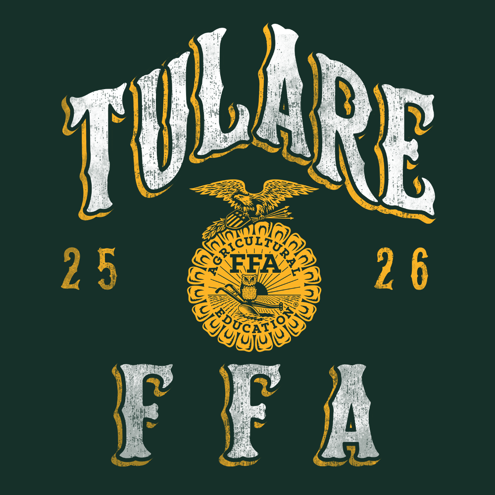 FFA339B