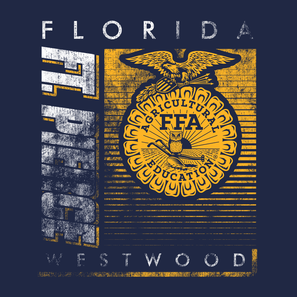 FFA349