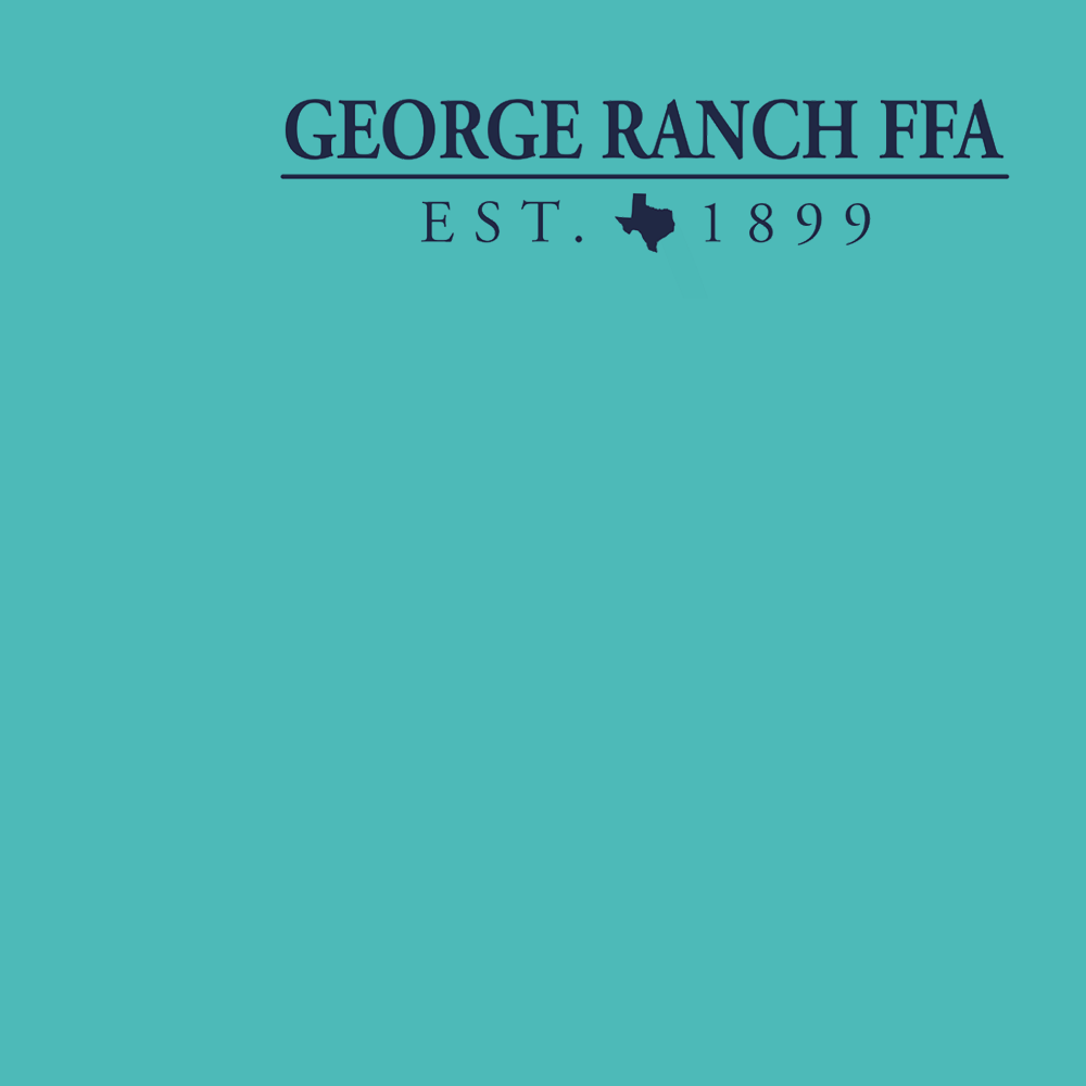 FFA394A