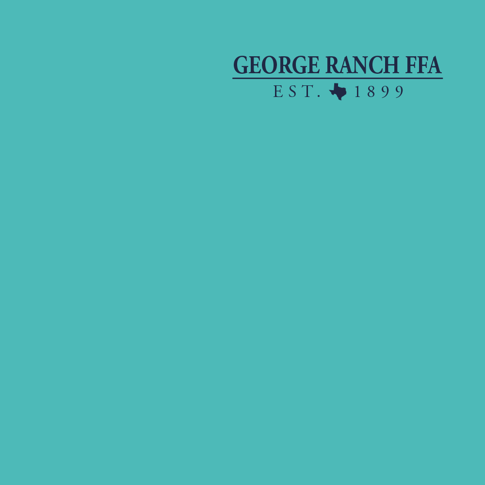 FFA394A