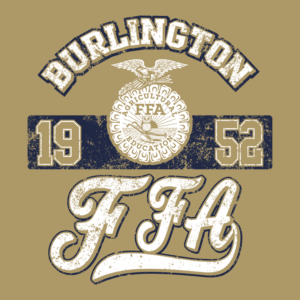 FFA400