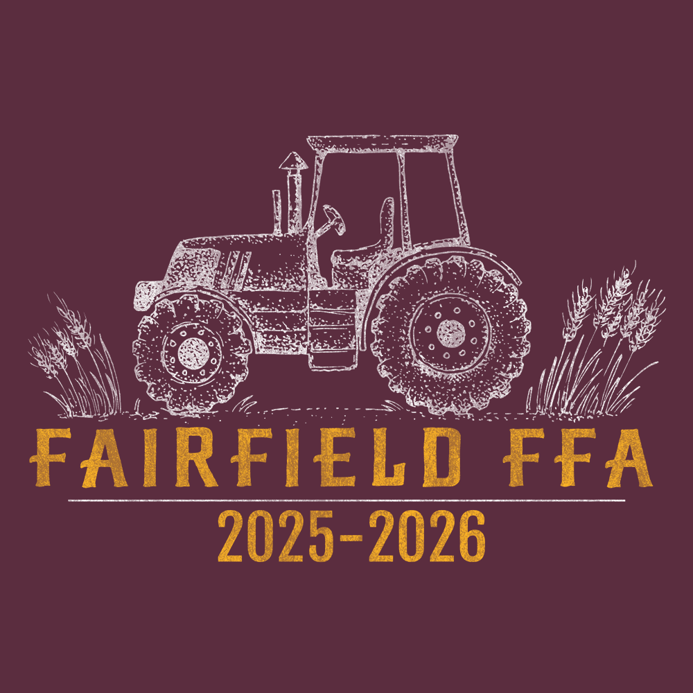 FFA411
