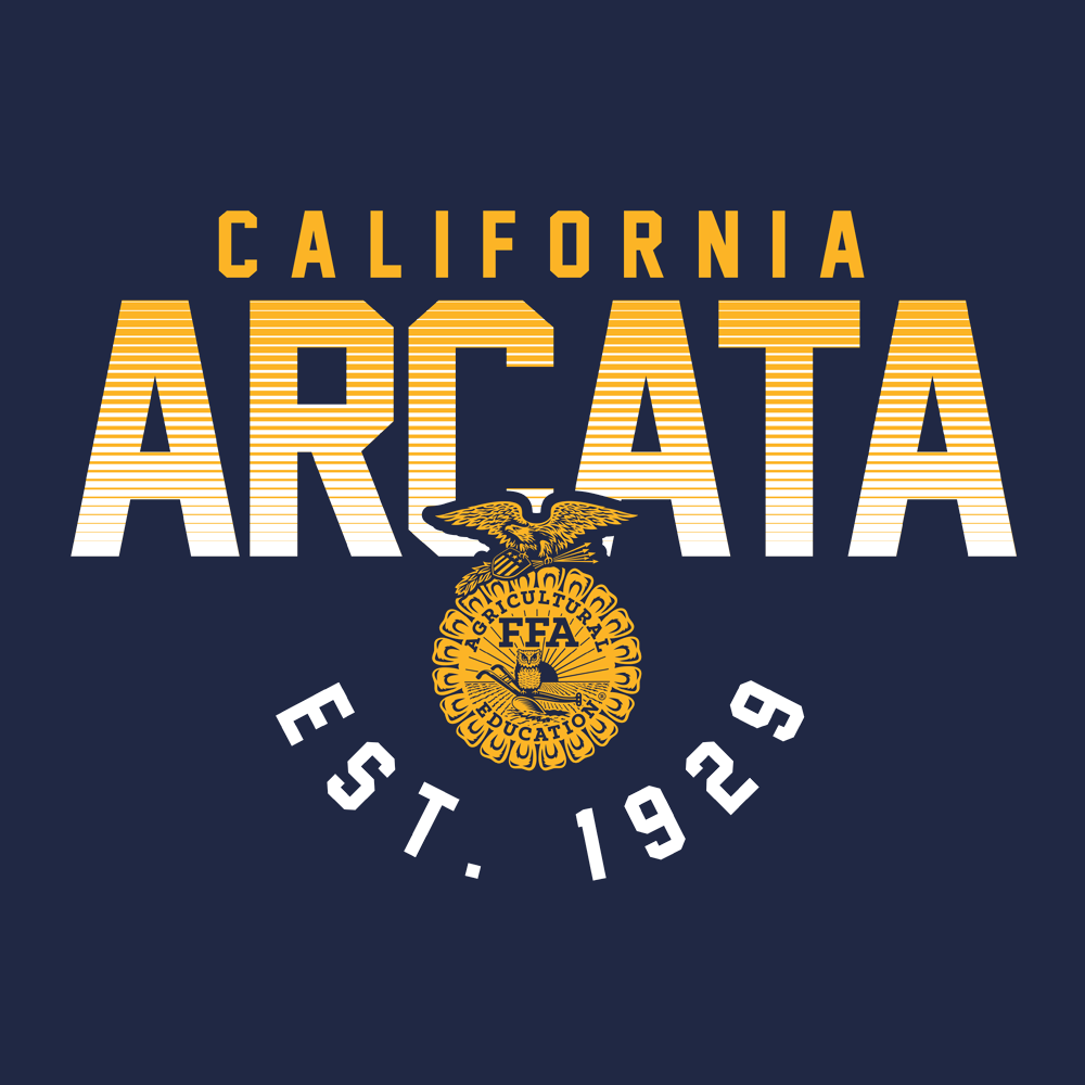 FFA413
