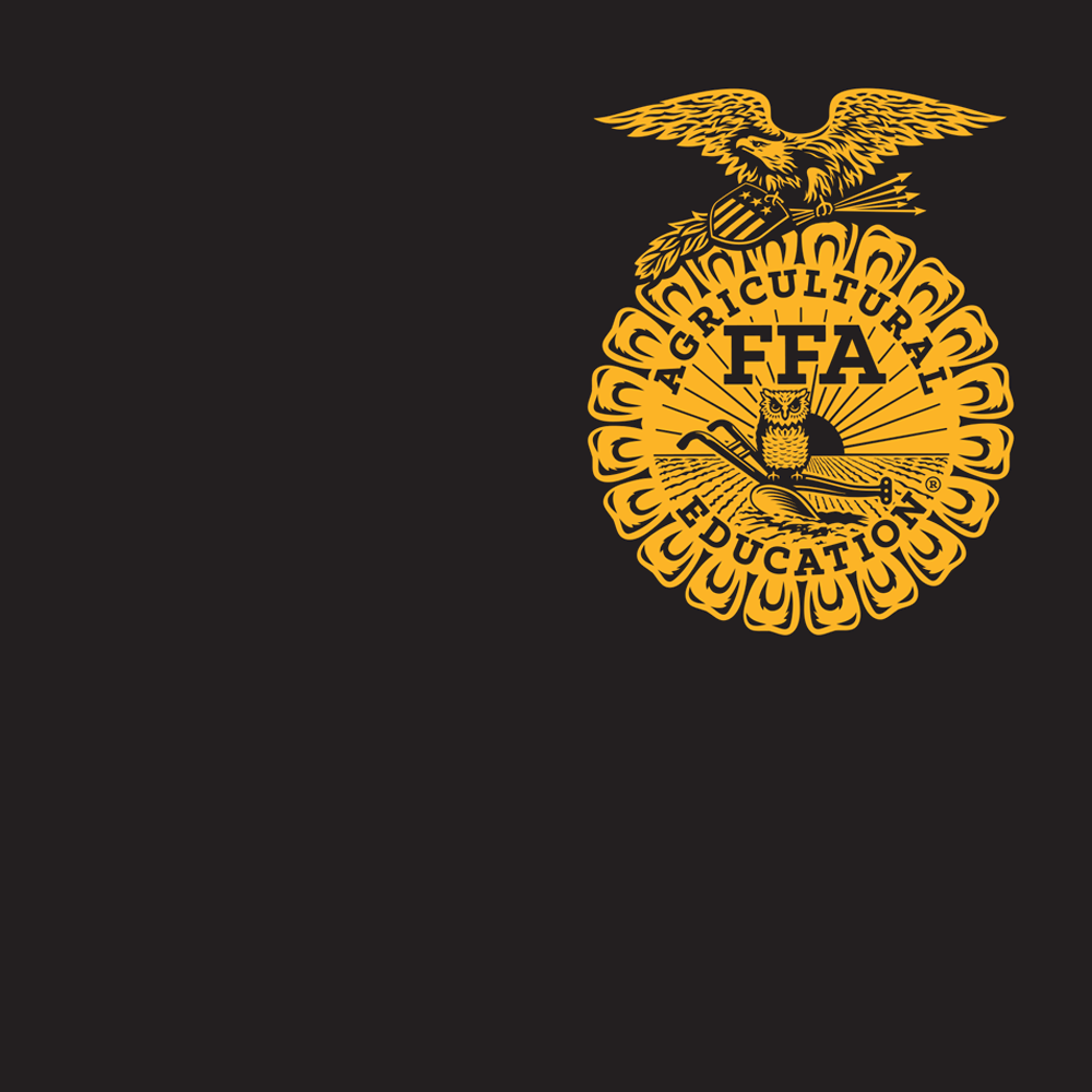 FFA416A