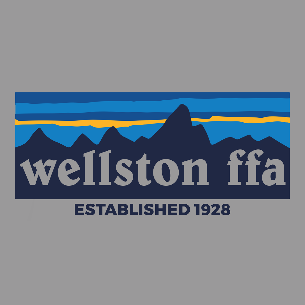 FFA438B