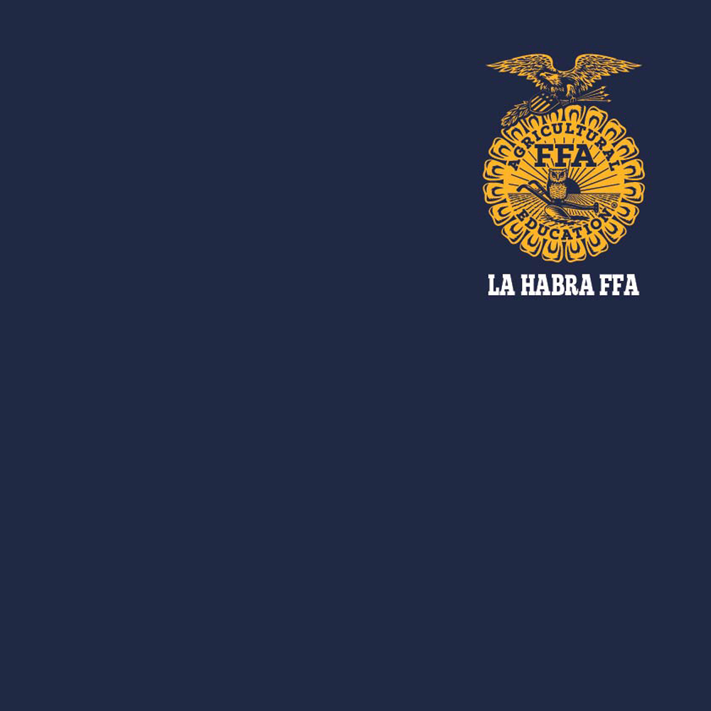 FFA451A