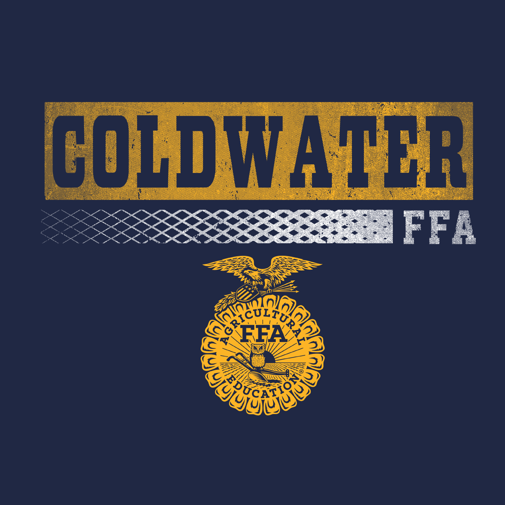 FFA455