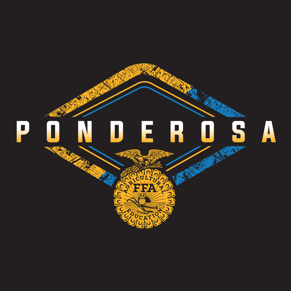 FFA476