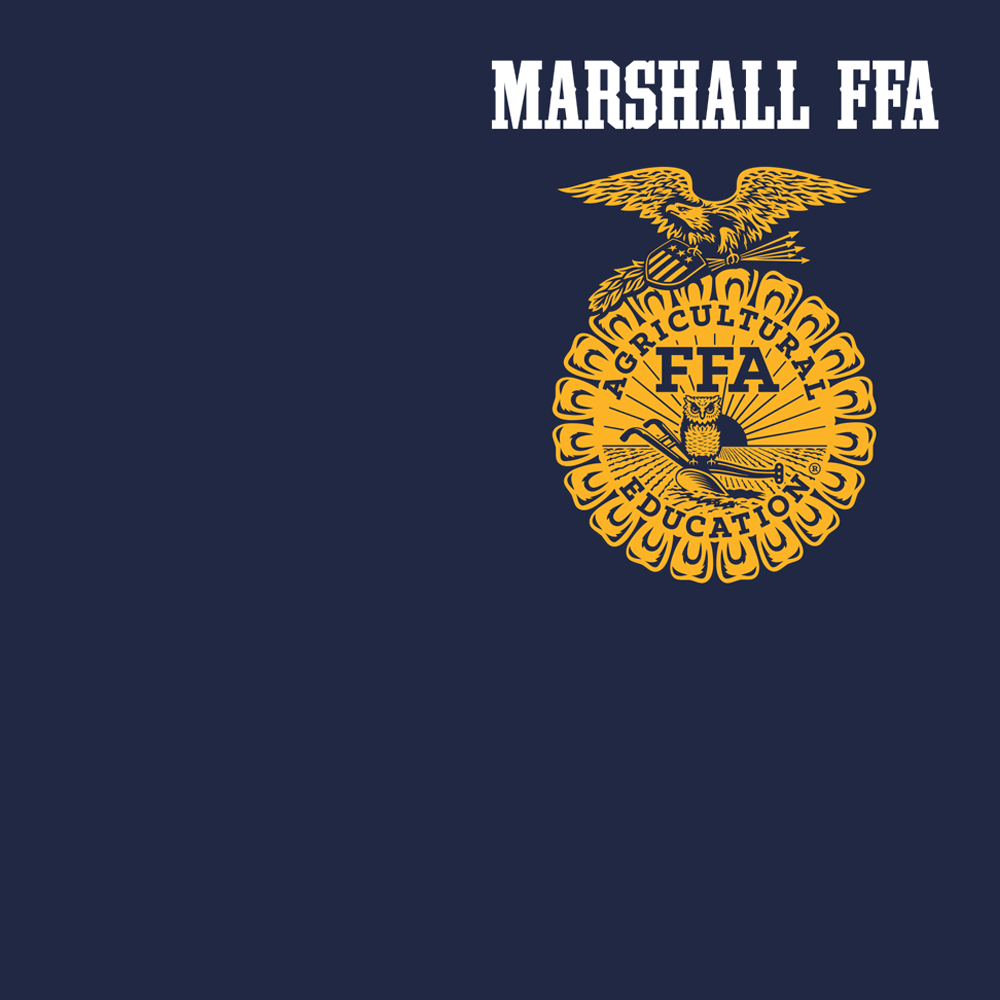 FFA488a