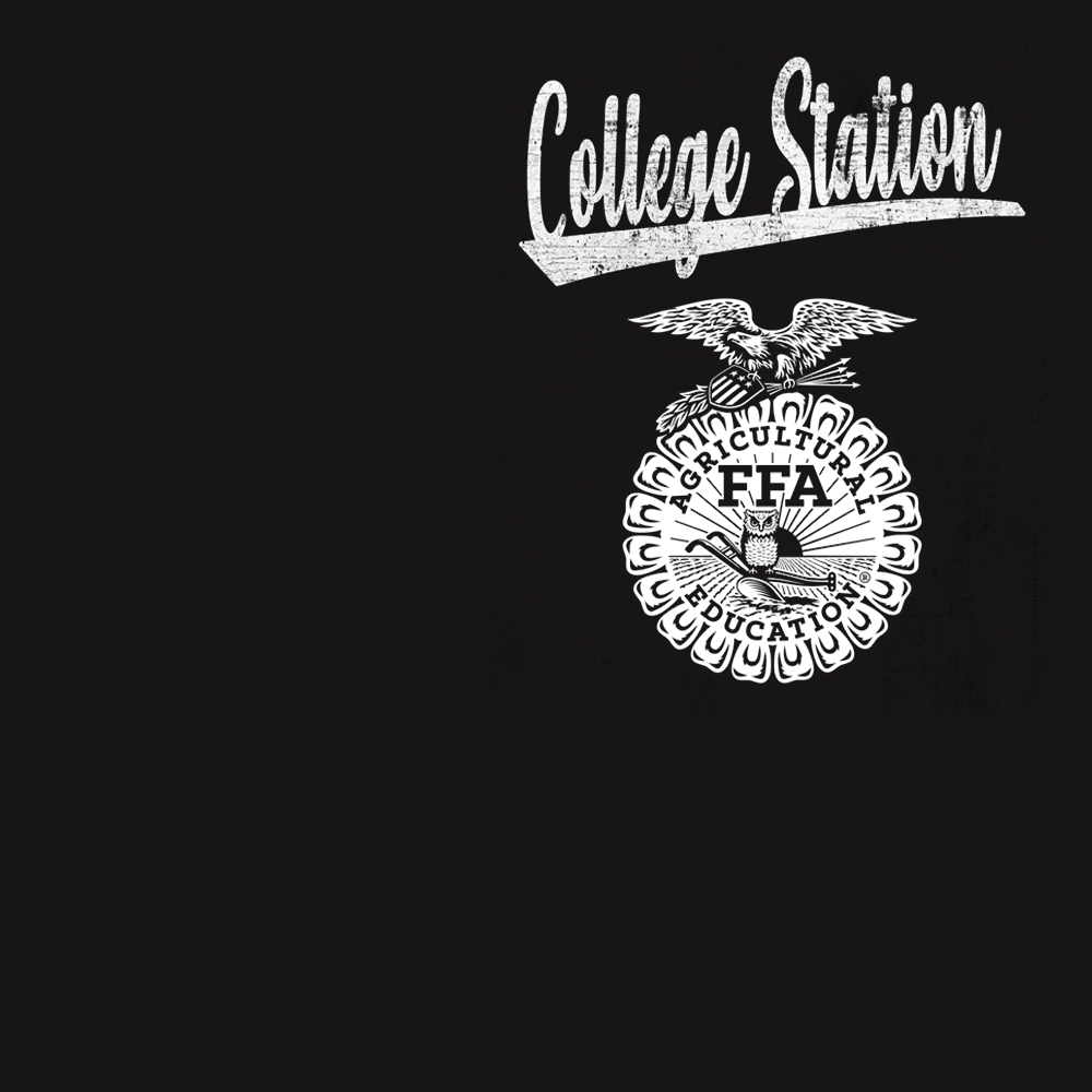 FFA509a