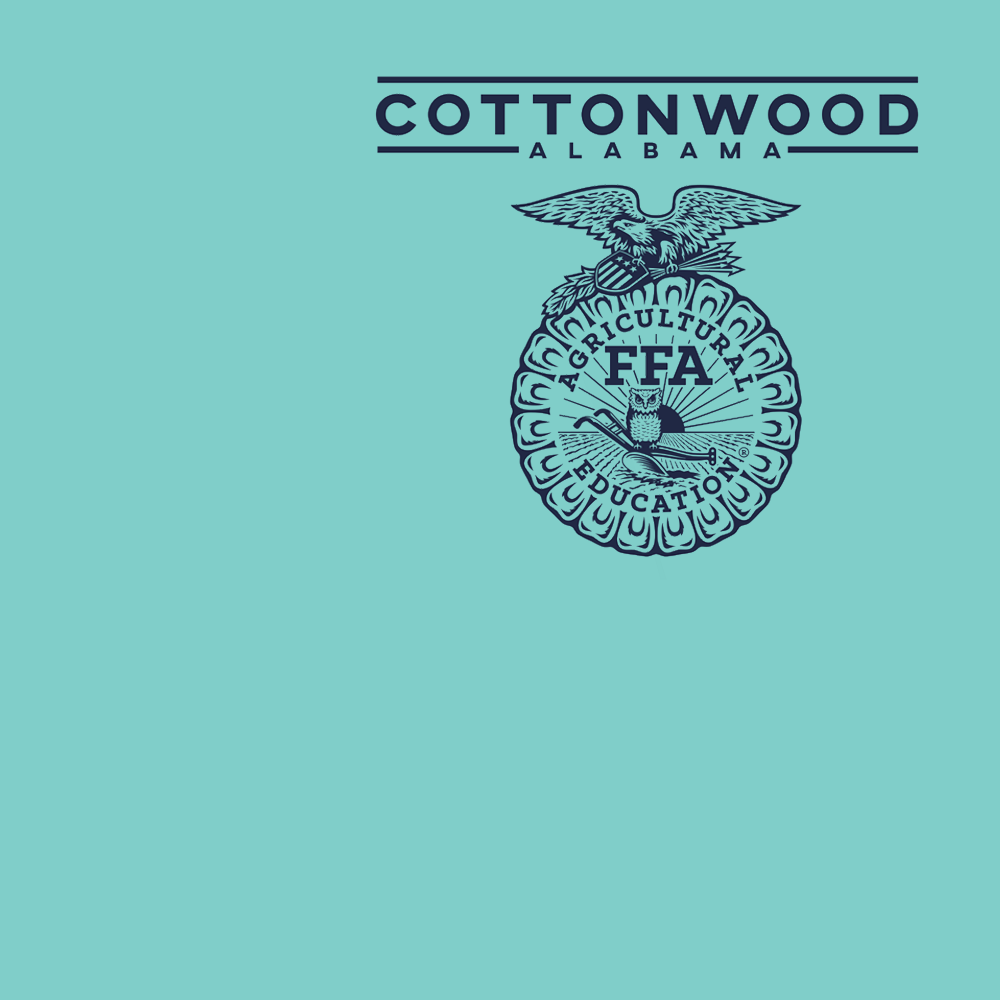FFA518a