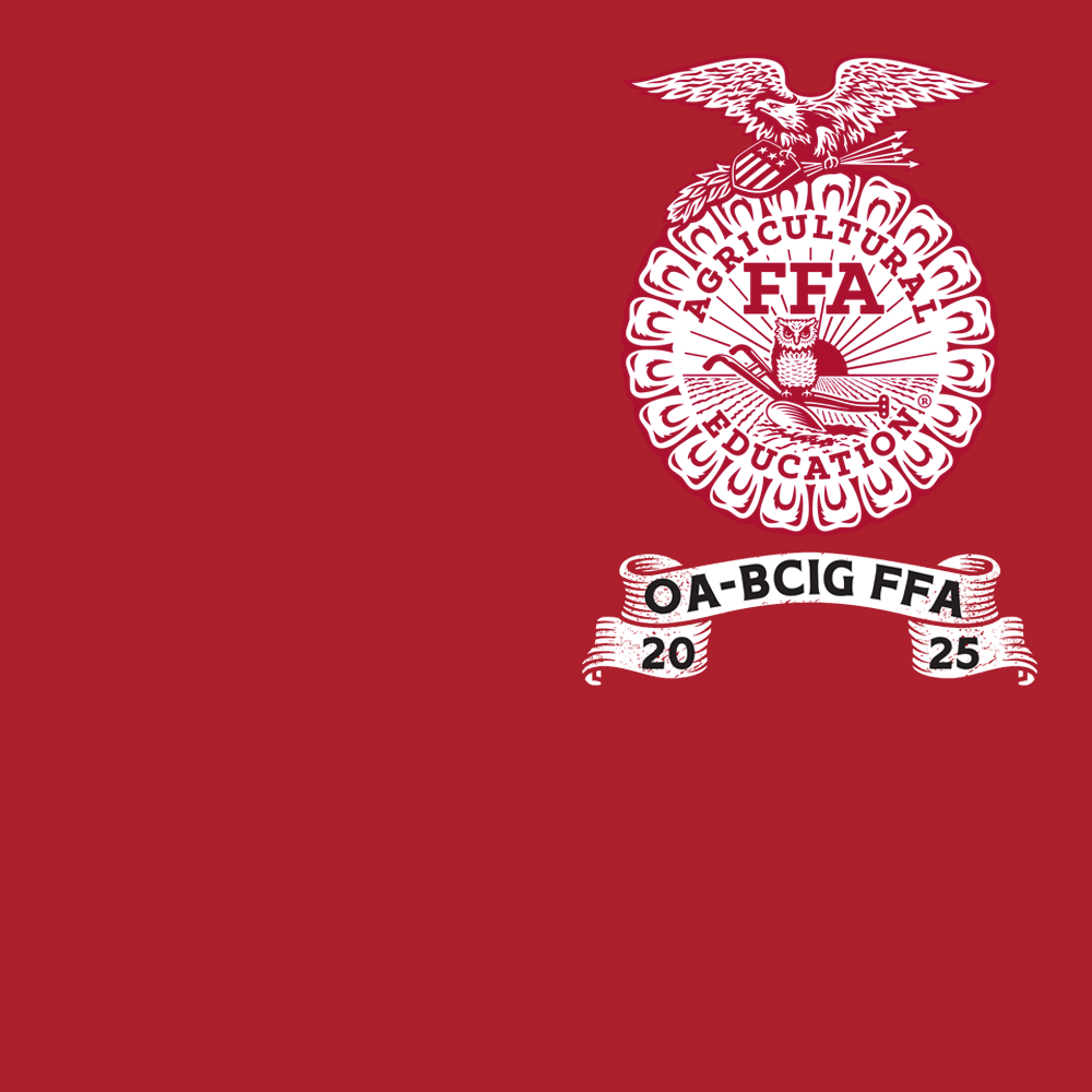 FFA529A