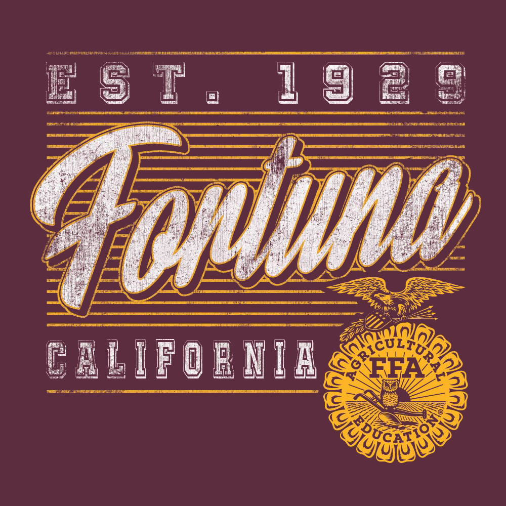 FFA539