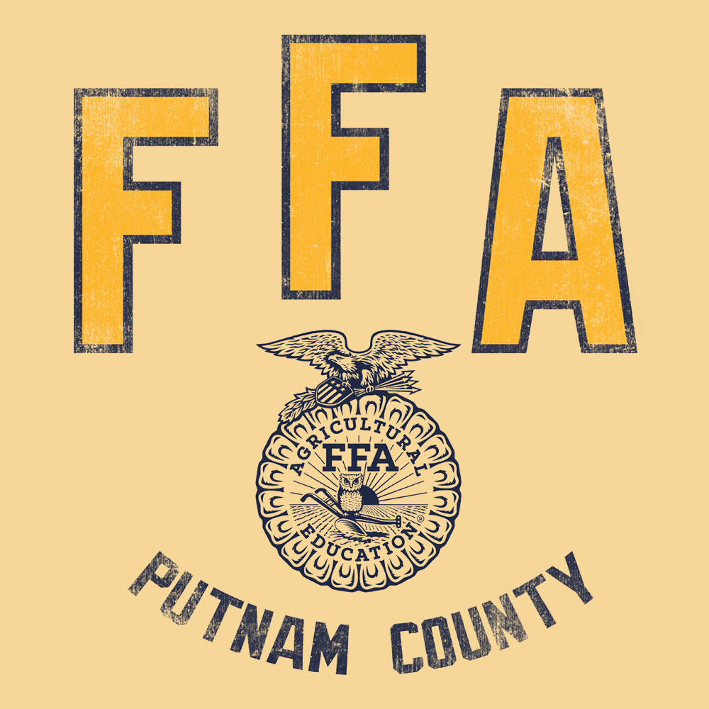 FFA541