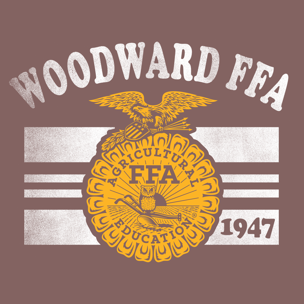 FFA545