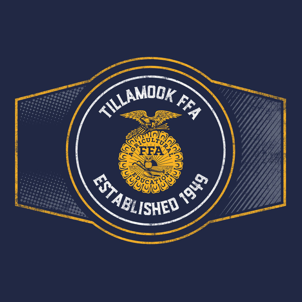 FFA550