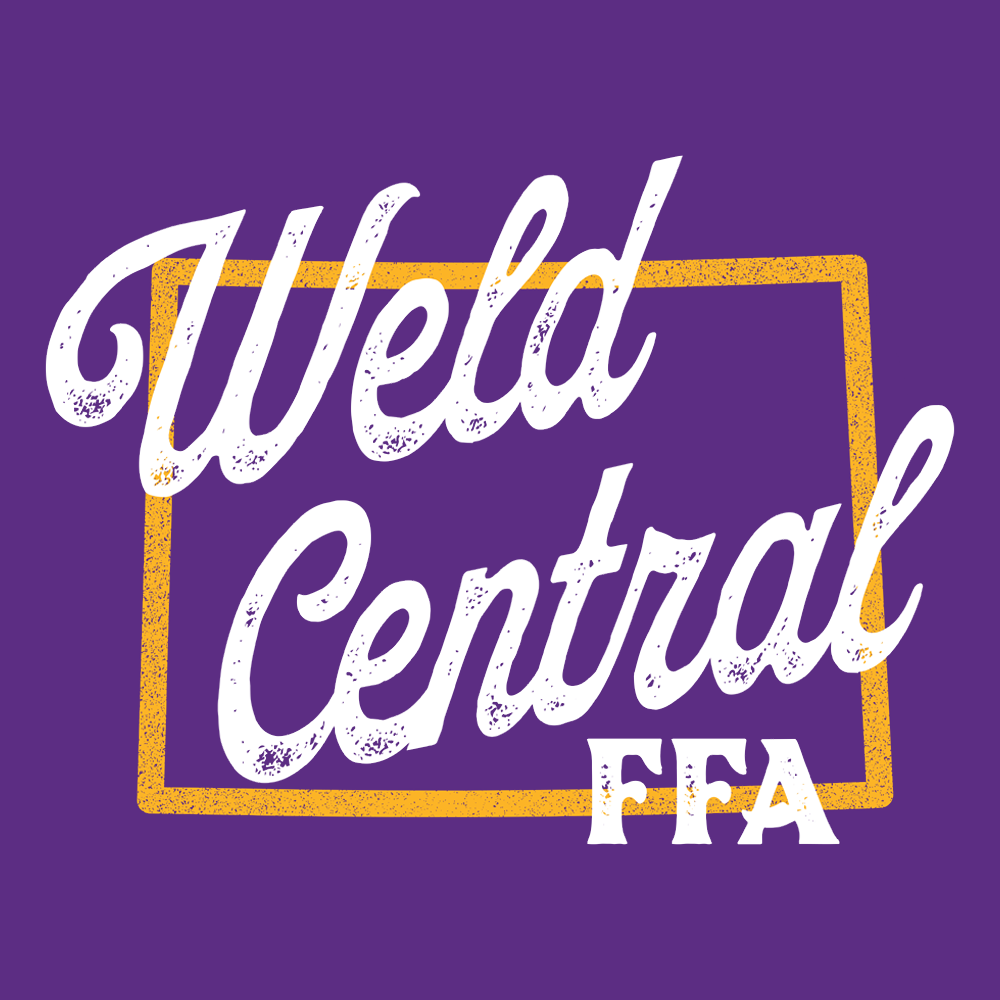FFA562