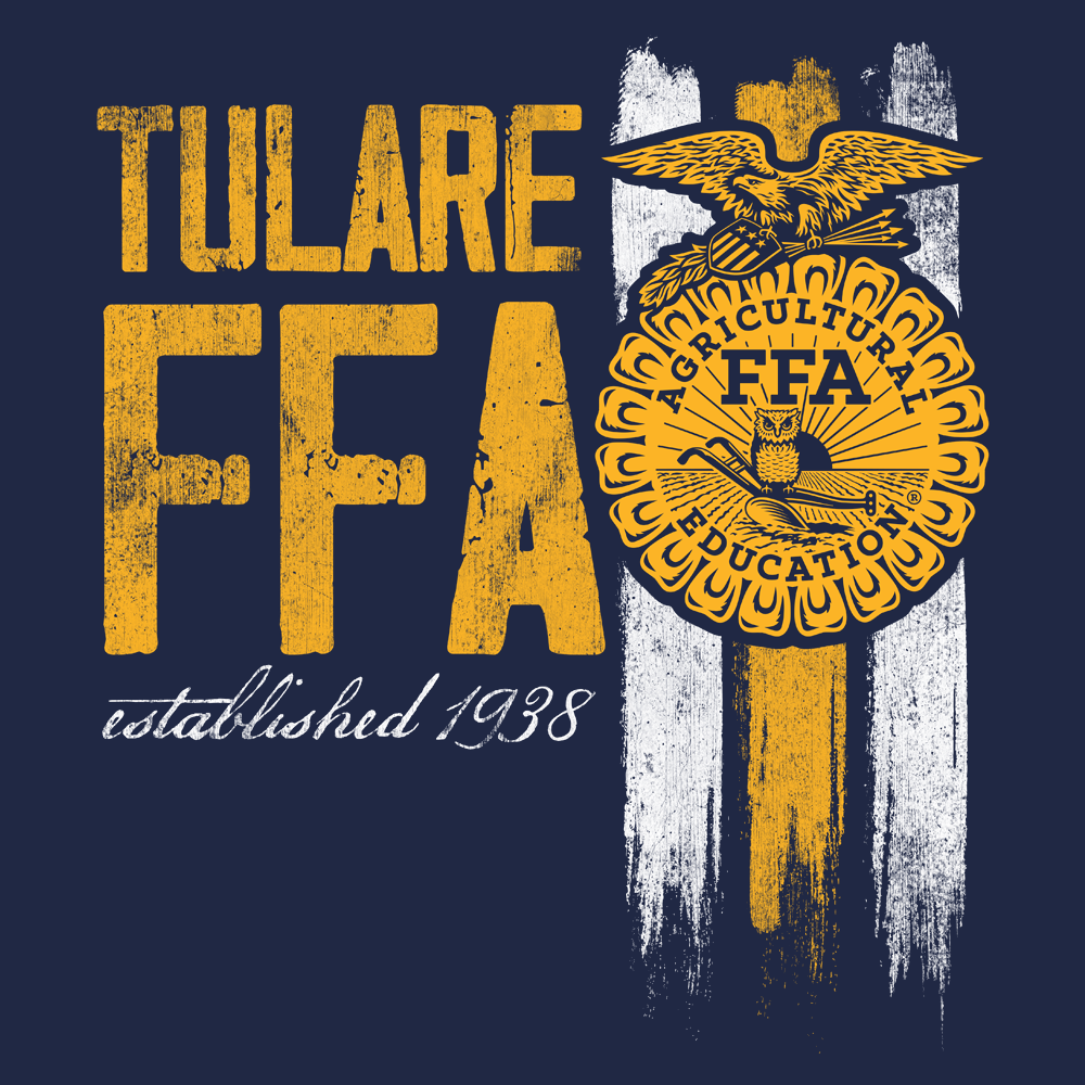 FFA566
