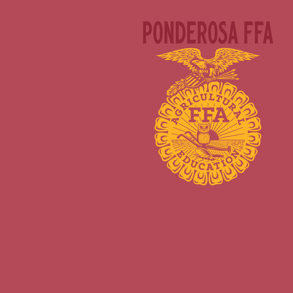 FFA576a