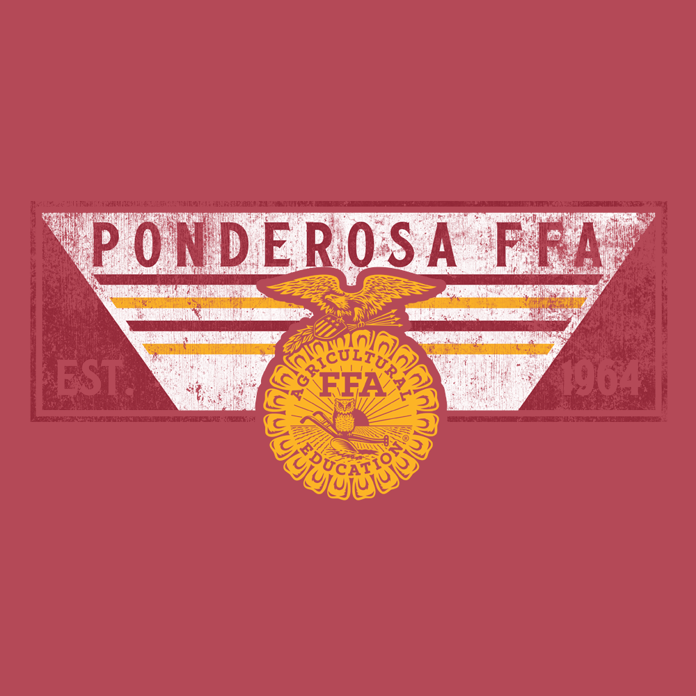 FFA576b