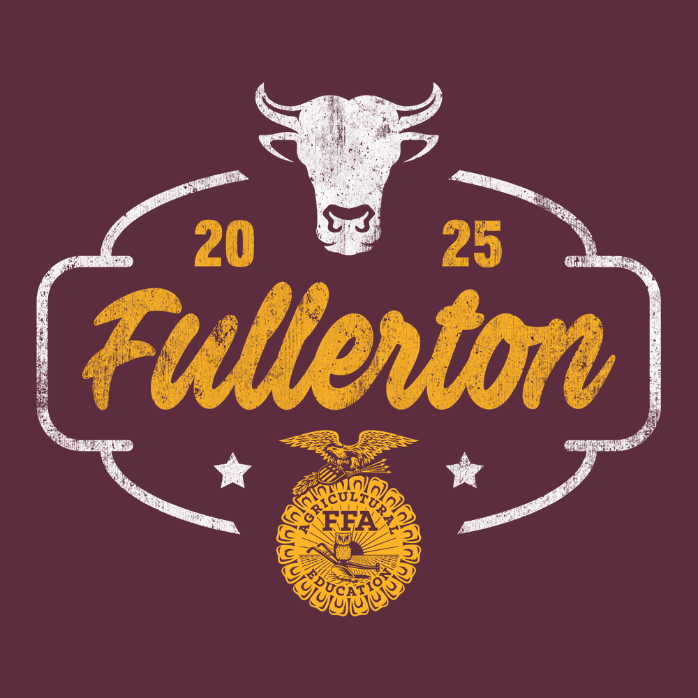FFA578