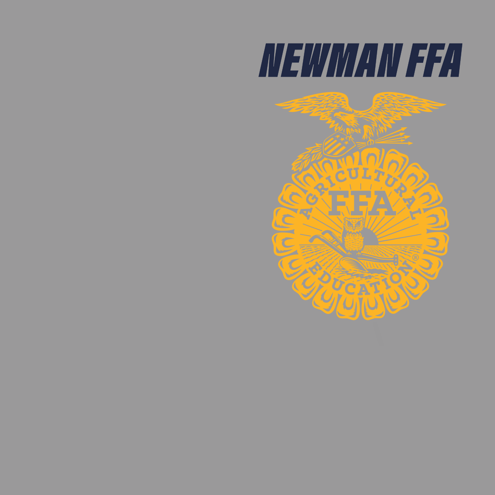 FFA581a