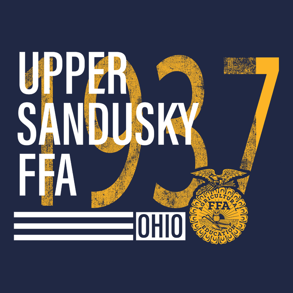 FFA585