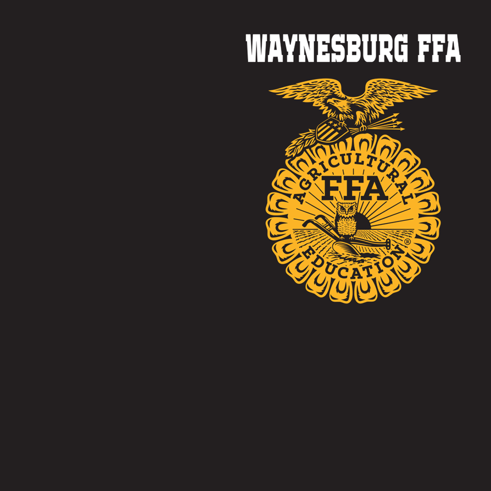 FFA586a
