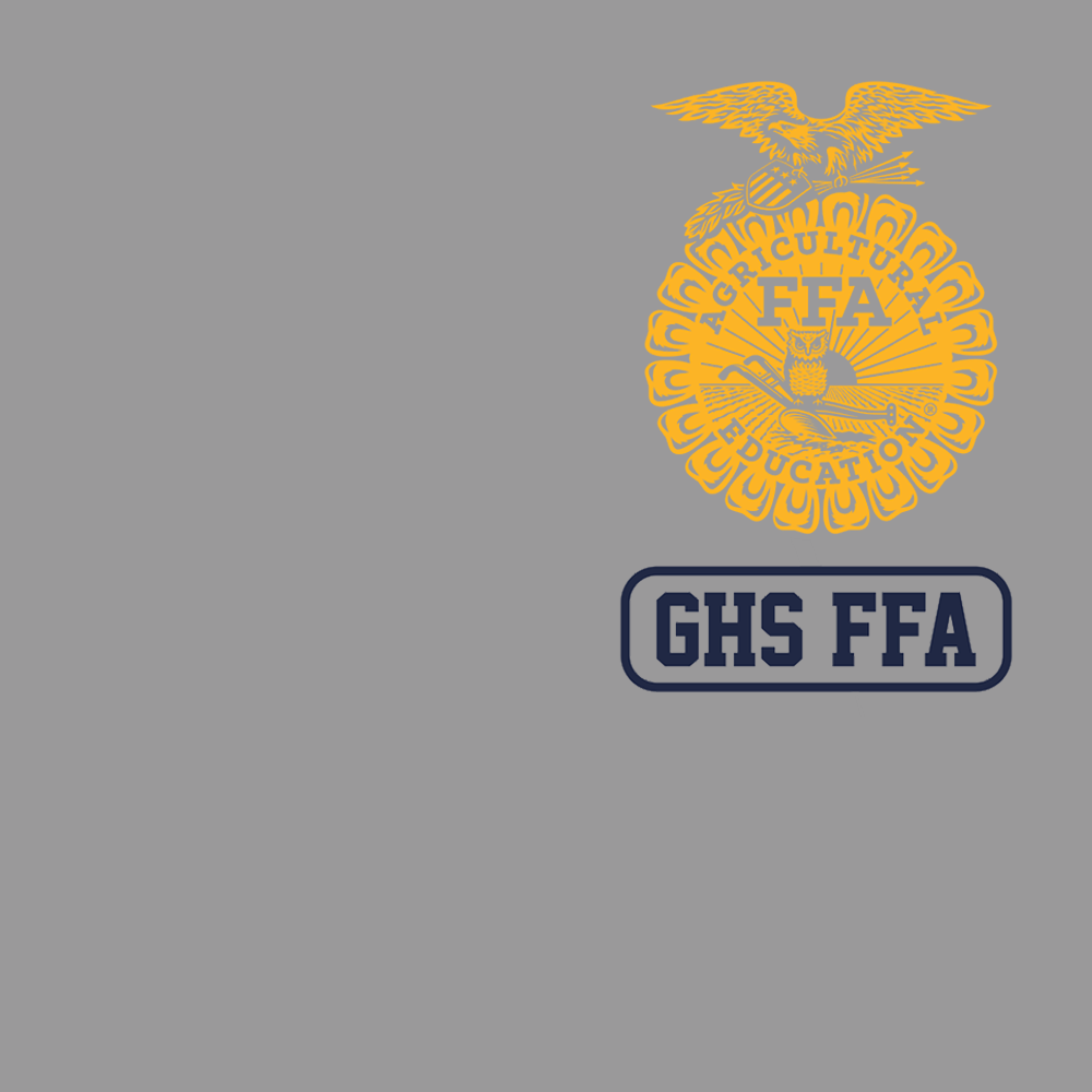FFA606a