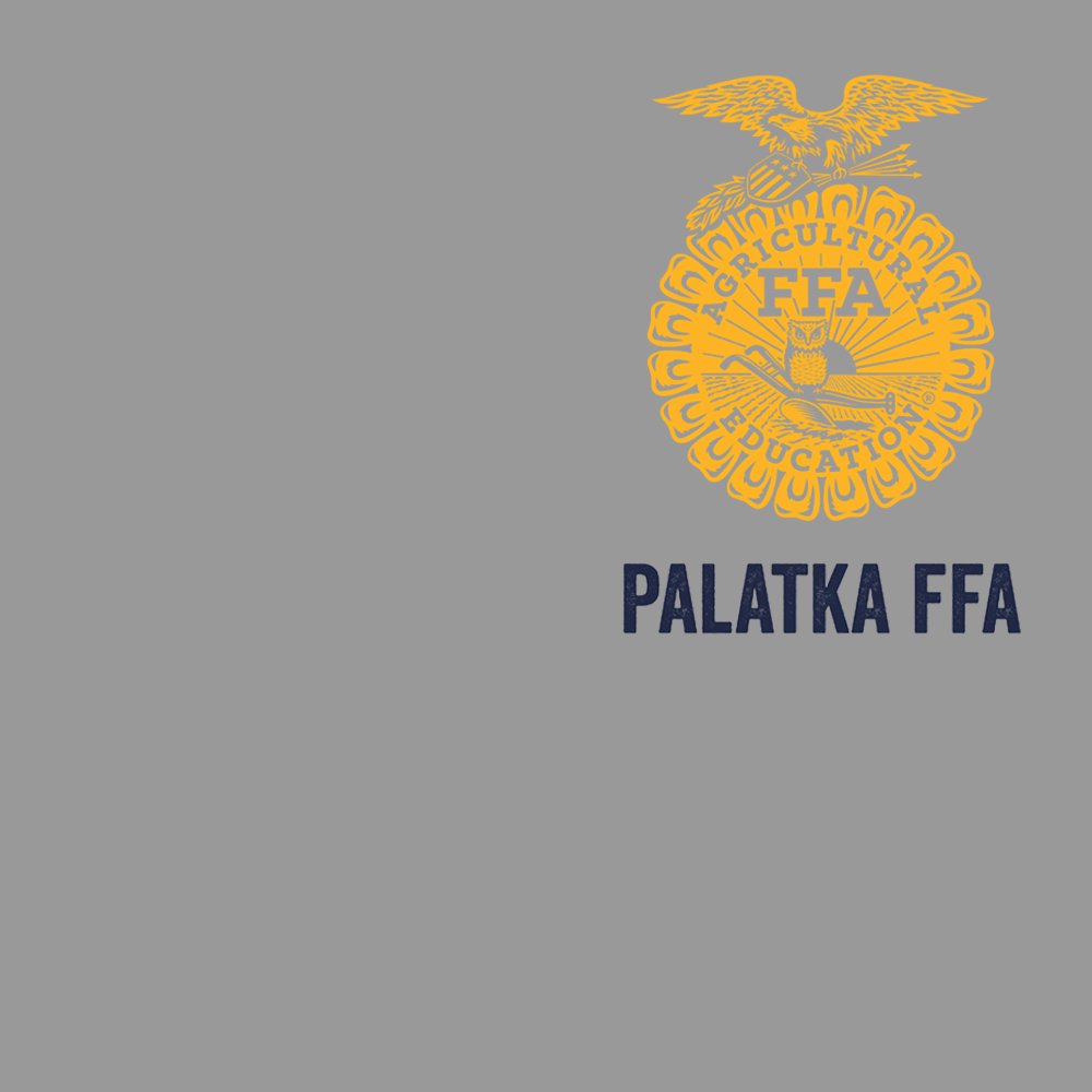 FFA613a