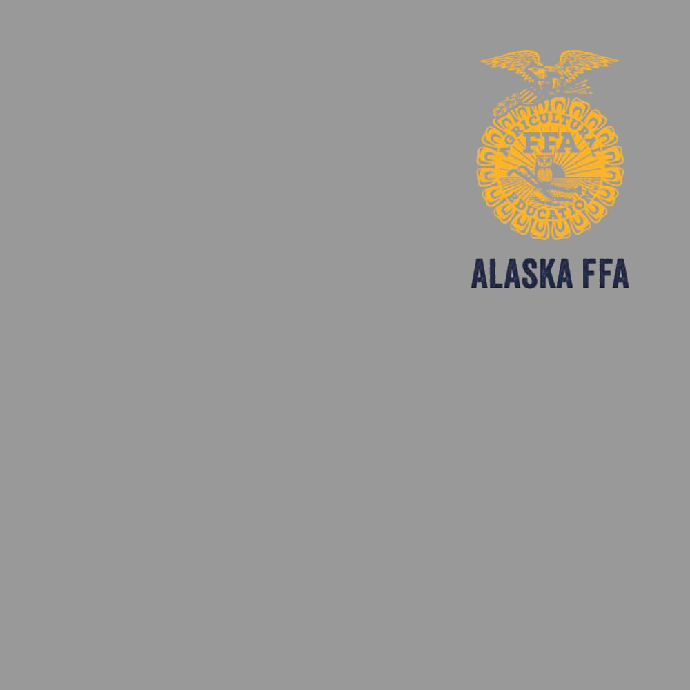 FFA613a
