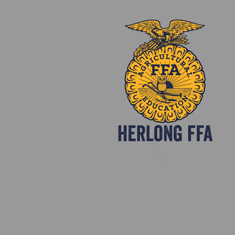 FFA613a