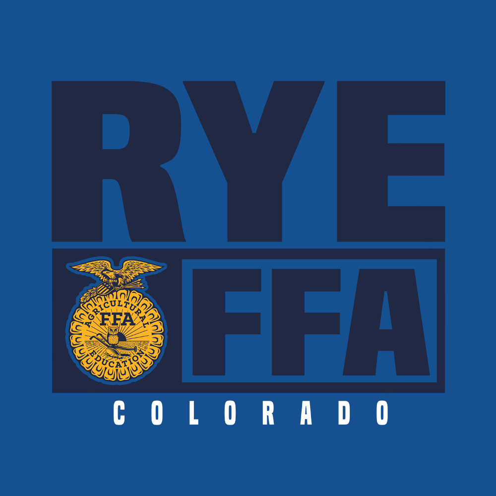 FFA616